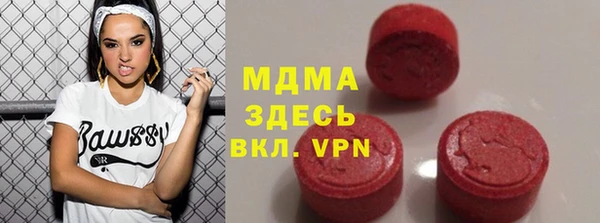 прущие грибы Вязьма